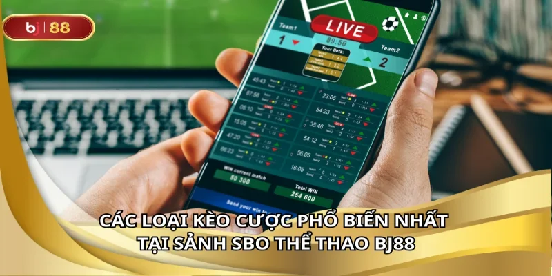 Nắm rõ từng loại kèo để đặt đâu trúng đó