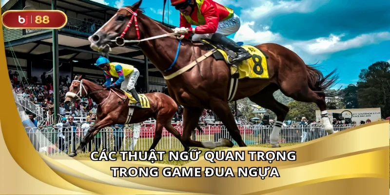 Những thuật ngữ phổ biến cần biết khi chơi đua ngựa