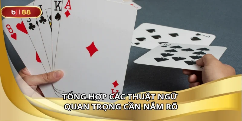 Tổng hợp các thuật ngữ quan trọng cần nắm rõ